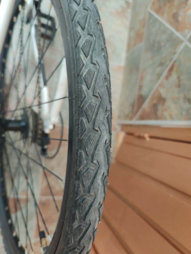 Bicicleta de montaña Leroy Lidl