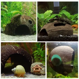 Tana di Cocco per acquario e terrario