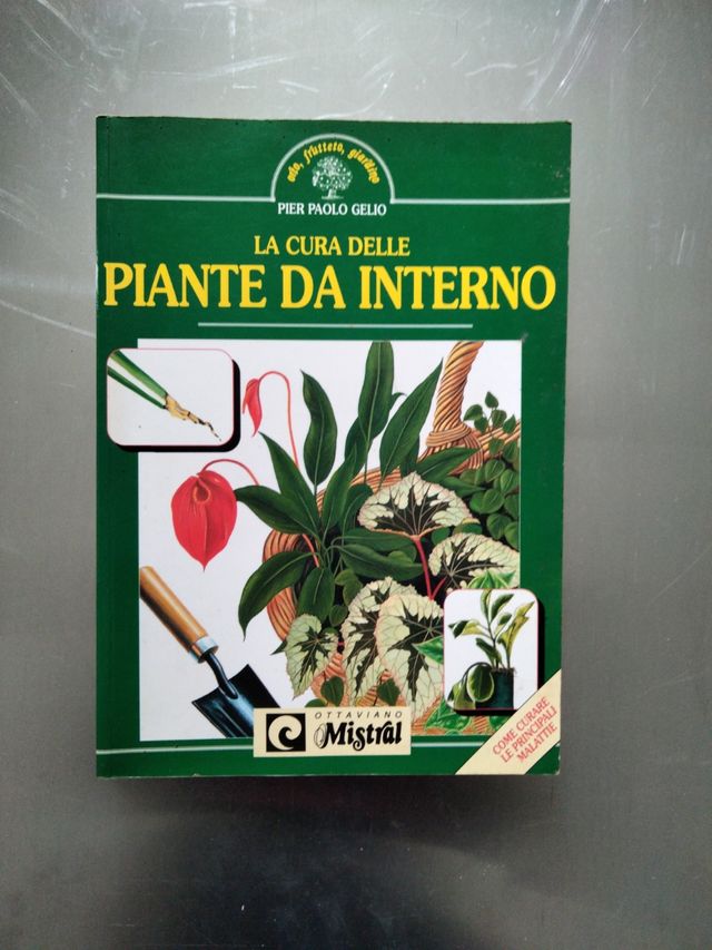 La cura delle piante da interno