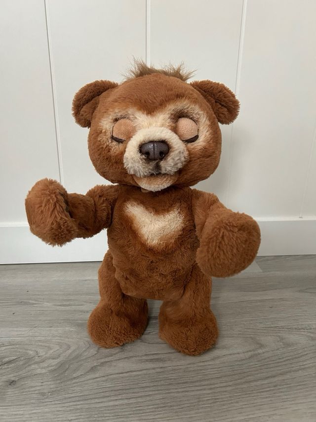 HASBRO mi osos curioso