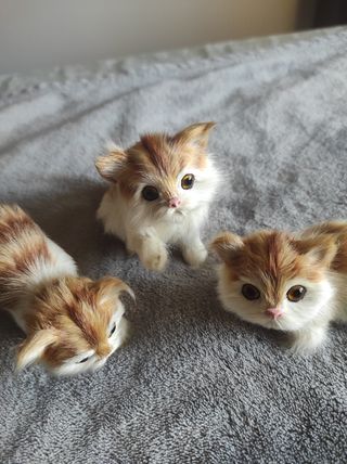 Soprammobili gattini