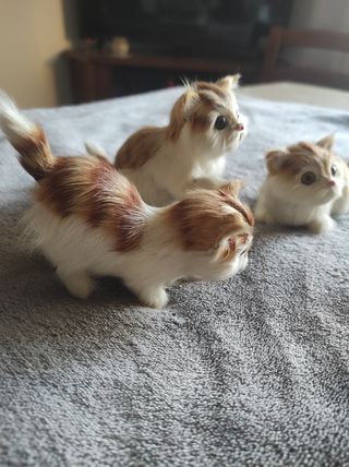 Soprammobili gattini