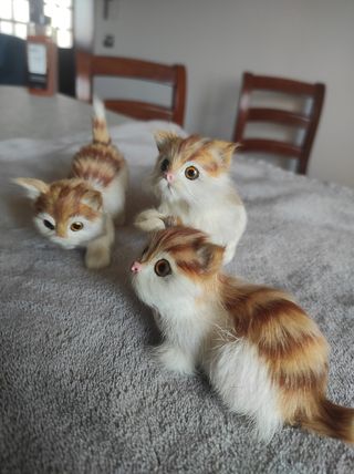 Soprammobili gattini