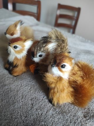 Soprammobili scoiattoli