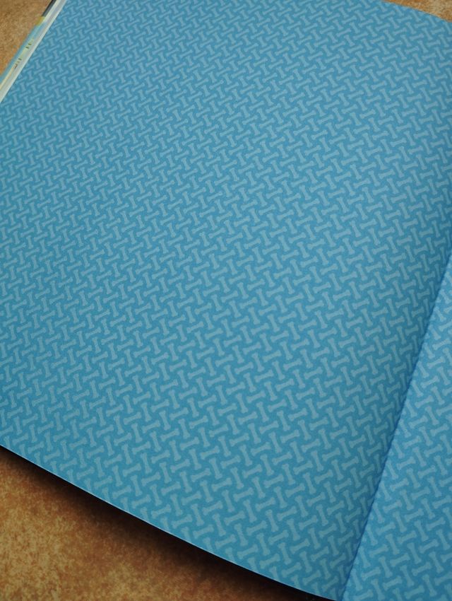 Paw Patrol | Patrulla Canina. Un cuento - Misión canina