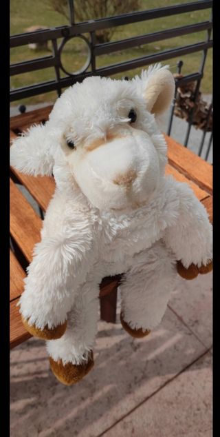 Peluche agnellino pasquale