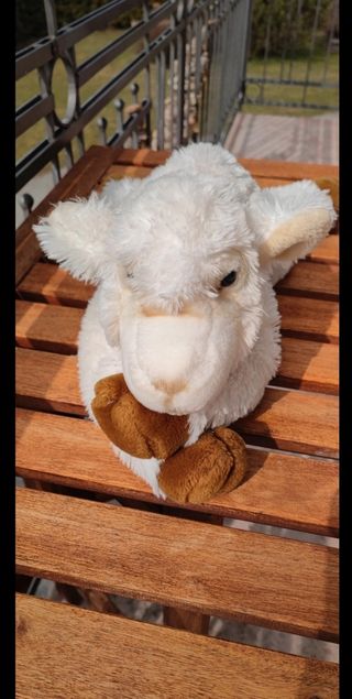 Peluche agnellino pasquale