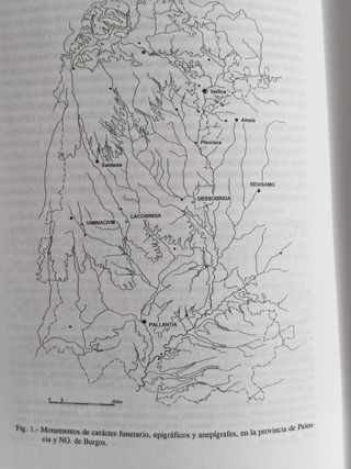 PALENCIA ARQUEOLOGÍA EN TERRITORIO PALENTINO 2004