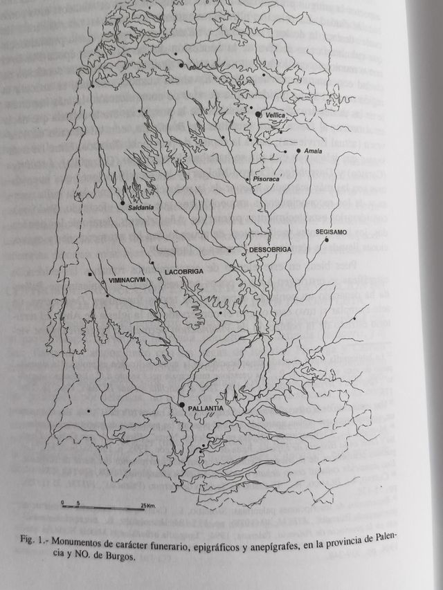 PALENCIA ARQUEOLOGÍA EN TERRITORIO PALENTINO 2004
