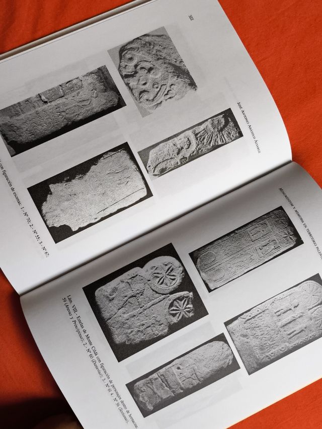 PALENCIA ARQUEOLOGÍA EN TERRITORIO PALENTINO 2004