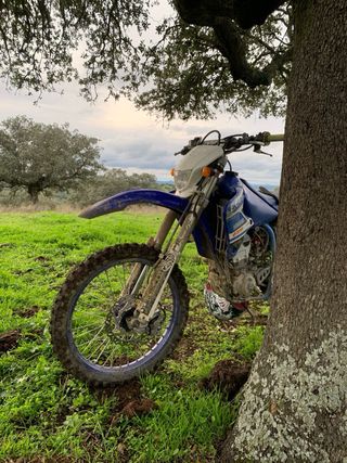 Wr 250 f