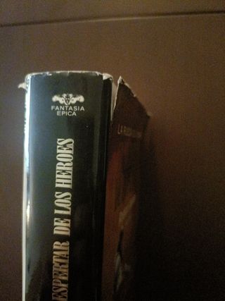 El despertar de los héroes (La Rueda del Tiempo, #2)