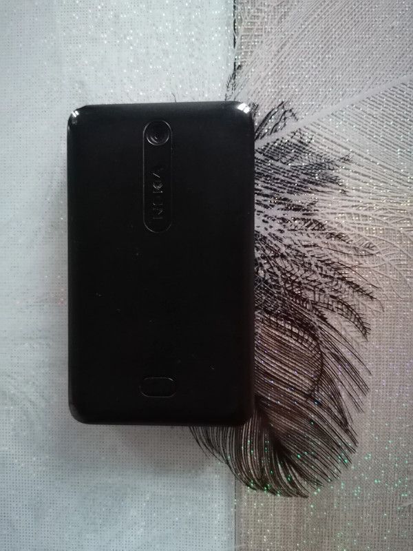 Nokia Asha 501 Dual Sim