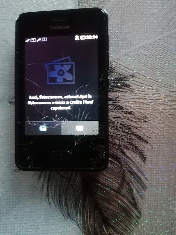 Nokia Asha 501 Dual Sim