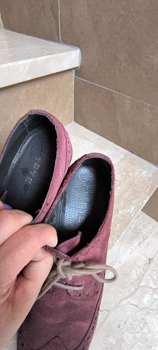 Blutcher plano Dibye