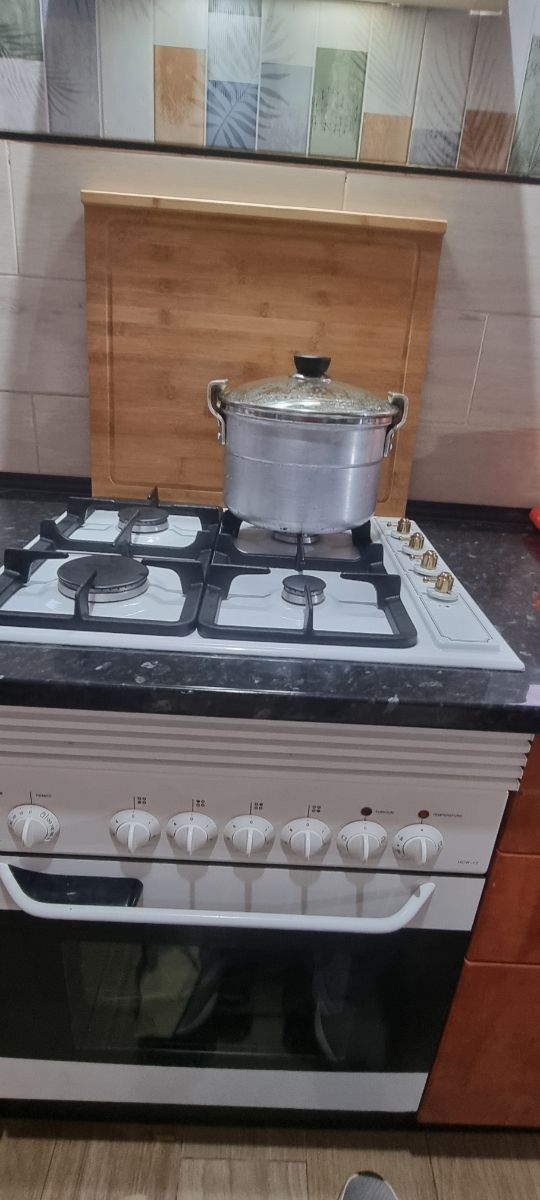 Placa de gas y horno eléctrico