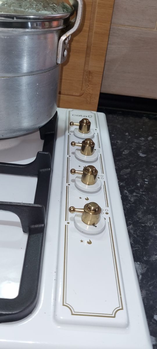 Placa de gas y horno eléctrico