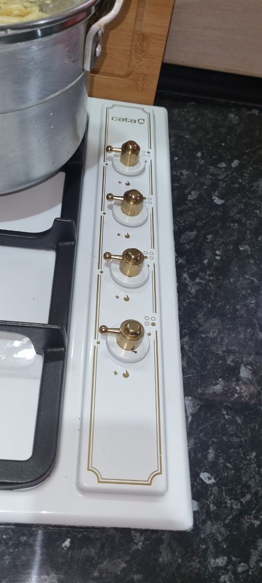 Placa de gas y horno eléctrico