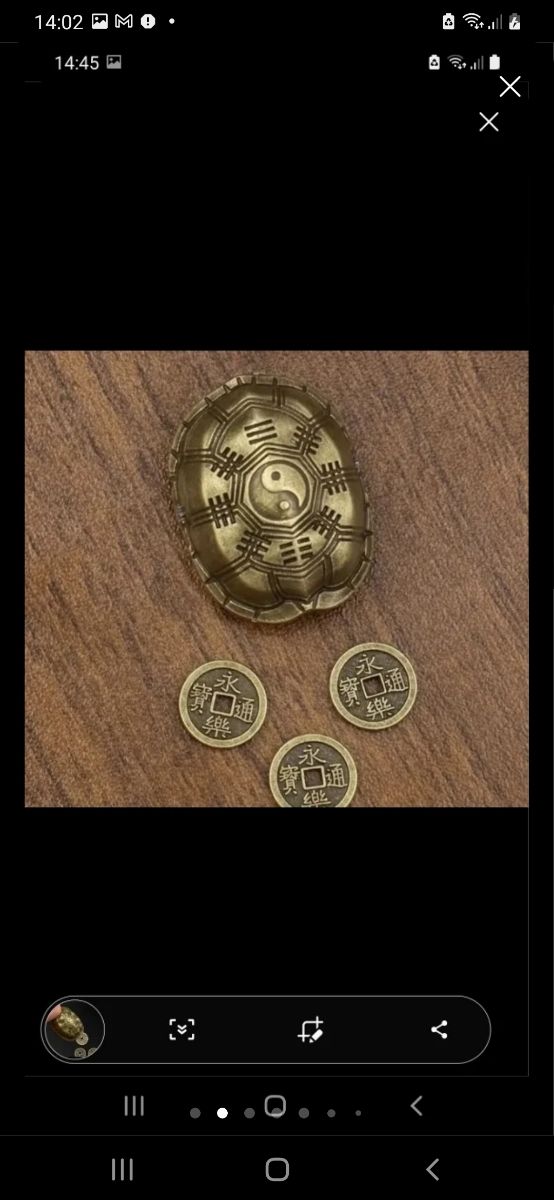 Tortuga suerte china nueva