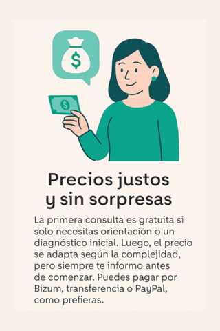 Técnico informático 