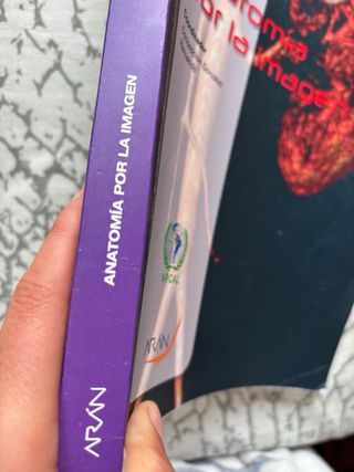 Anatomía por la imagen (Spanish Edition)