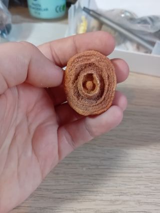 Fosil de estromatolito