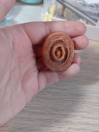 Fosil de estromatolito