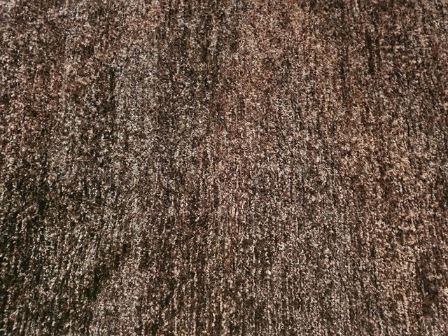 Alfombra Jarapa sin estrenar