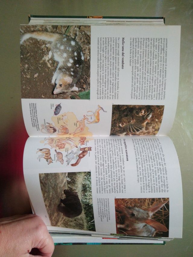 Enciclopedia illustrata degli animali