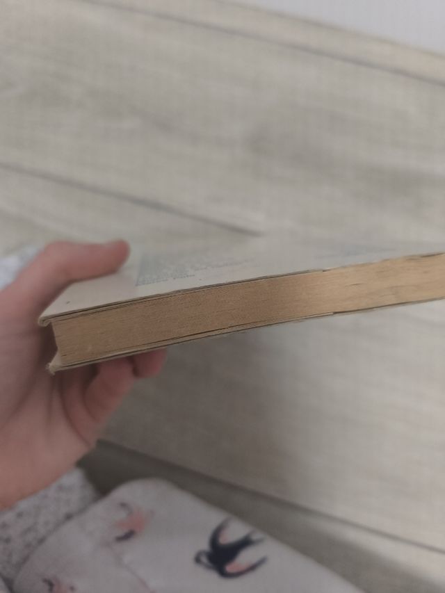 Libro viaje al centro de la tierra