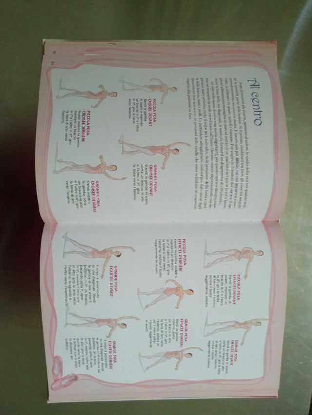 Il libro della danza