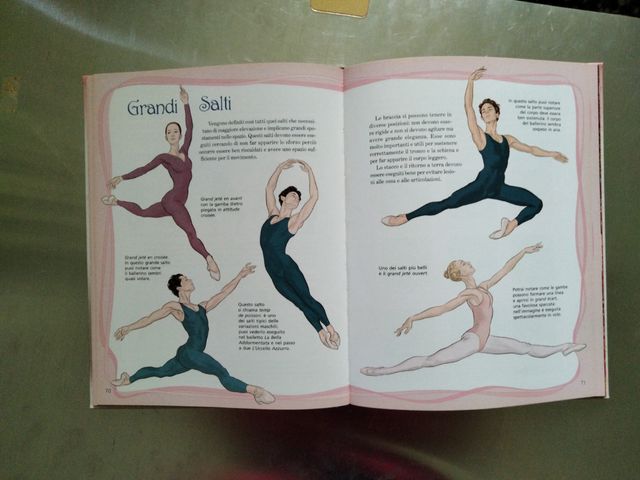 Il libro della danza