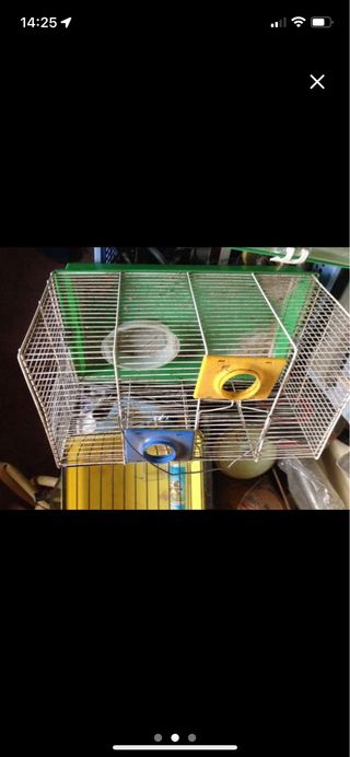Jaula y juguetes de mascotas