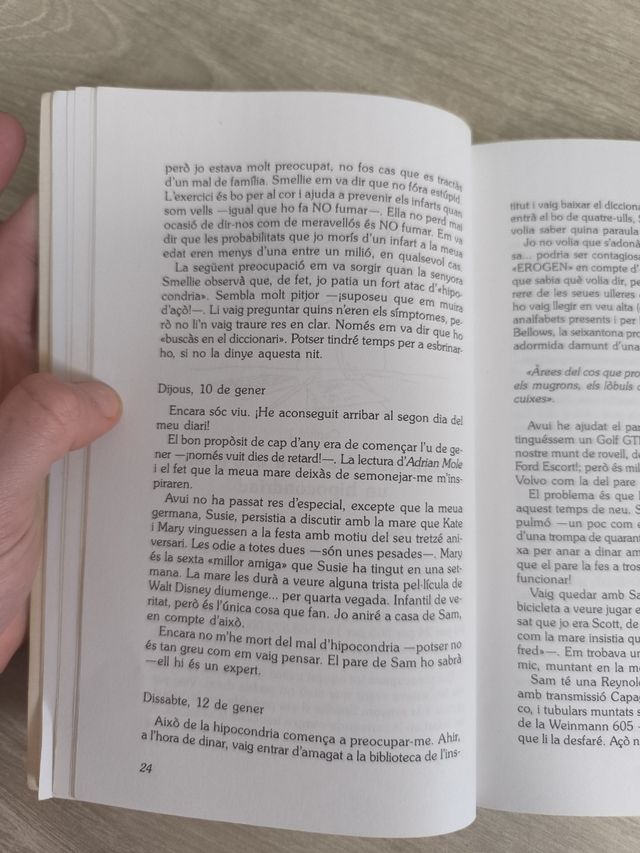 Libro diari d'un jove maniàtic