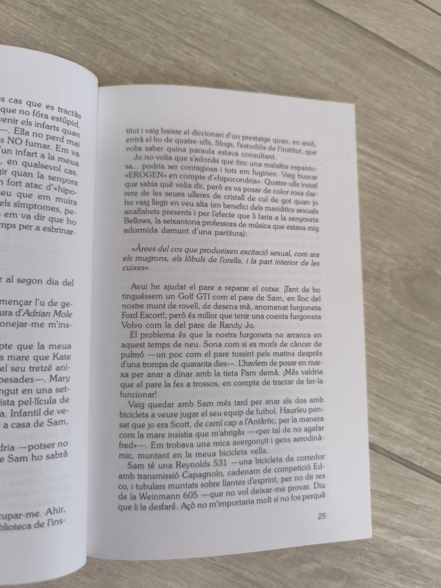 Libro diari d'un jove maniàtic