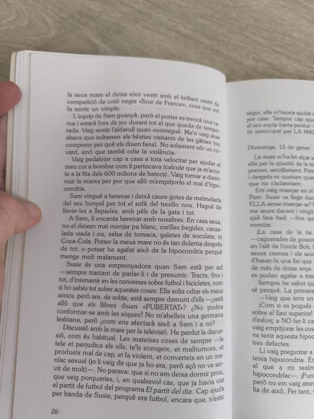 Libro diari d'un jove maniàtic