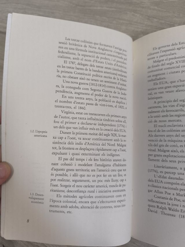 Libro l'escarabat d'or
