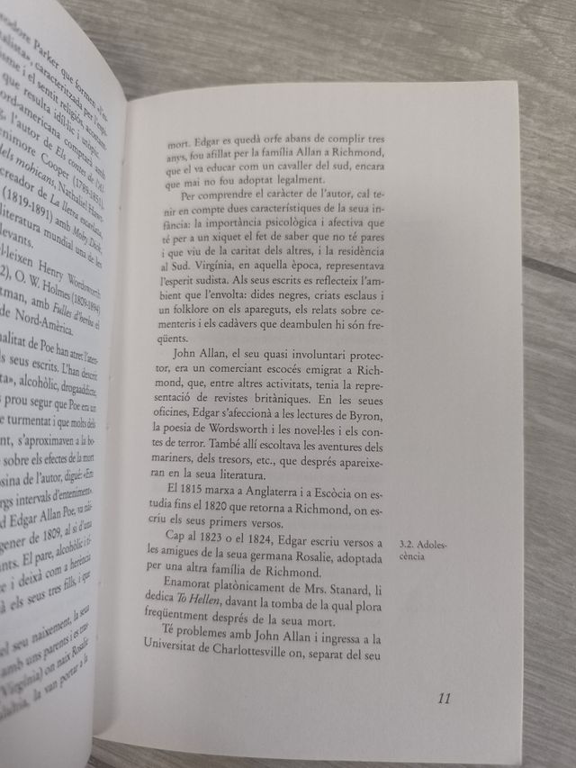 Libro l'escarabat d'or