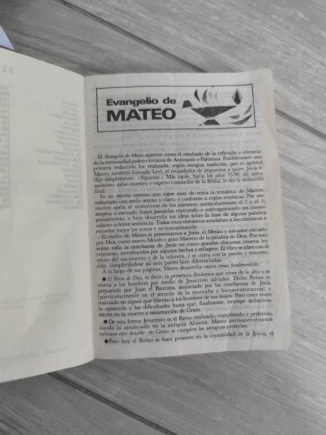 Biblia-nuevo testamento