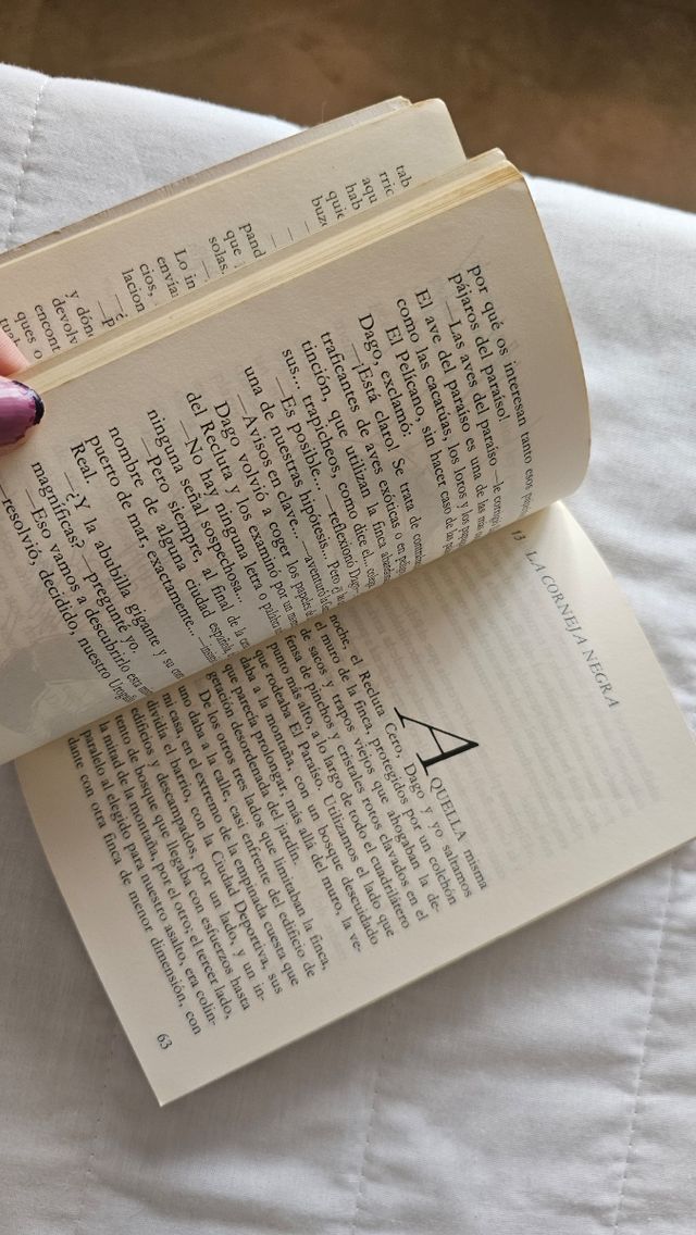 Libro infantil las alas de la noche