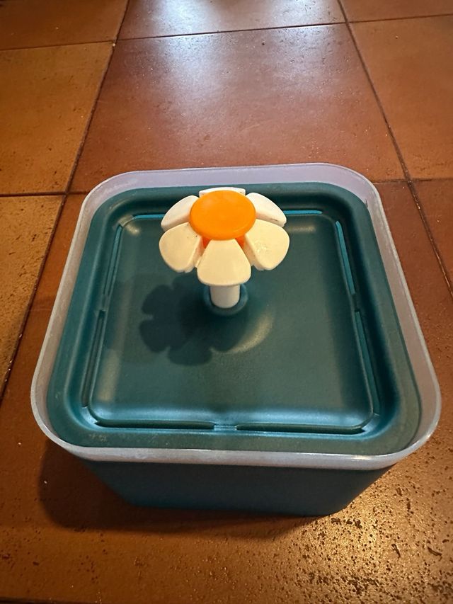 Fontana d'acqua per gatti