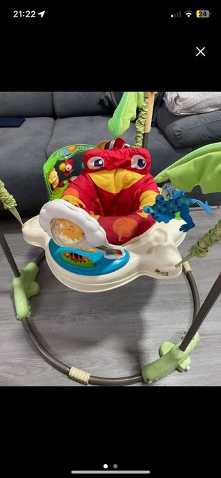 Saltador bebe