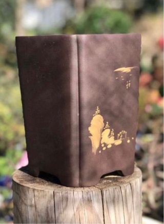 MACETA YIXING CASCADA BONSAI 12x12x185 cm