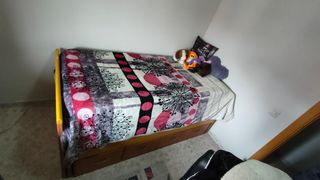 Cama nido