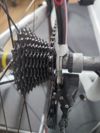 Pinarello NEOR T6