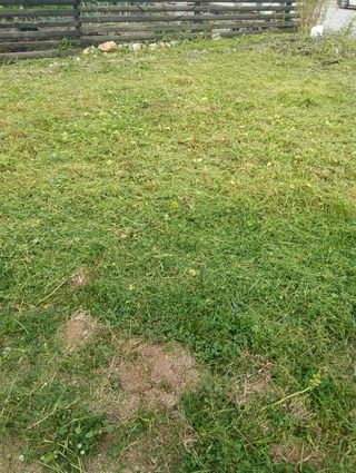 Desbrozado de terreno