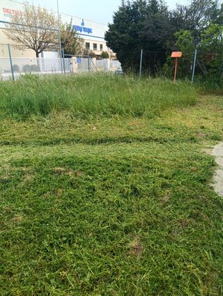 Desbrozado de terreno