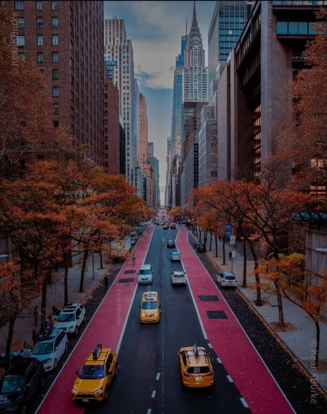 CLASES CON PROFESOR INGLÉS NATIVO AUTÓNOMO