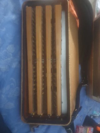 Acordeon