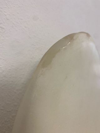 Tabla surf replica Omni